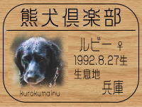 DOGLAB�����HP��GO!